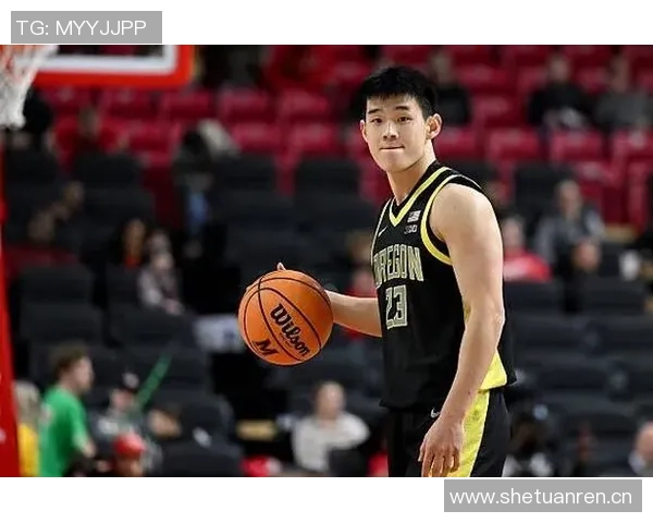 媒体人透露谢尔斯塔德赛季报销林葳将稳坐球队主控位置