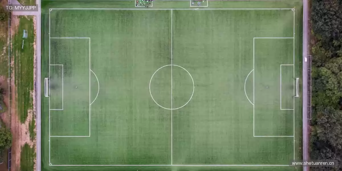 🚴 速度激情，赛道争锋！🏆